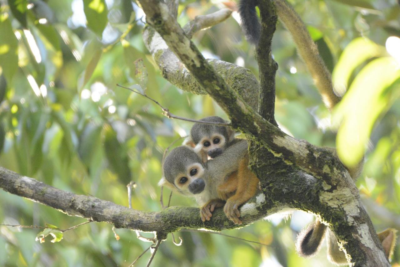 Grand Amazon Lodge And Tours Paraíso Eksteriør billede
