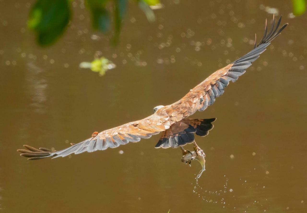 Grand Amazon Lodge And Tours Paraíso Eksteriør billede