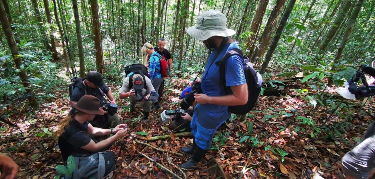 Grand Amazon Lodge And Tours Paraíso Eksteriør billede